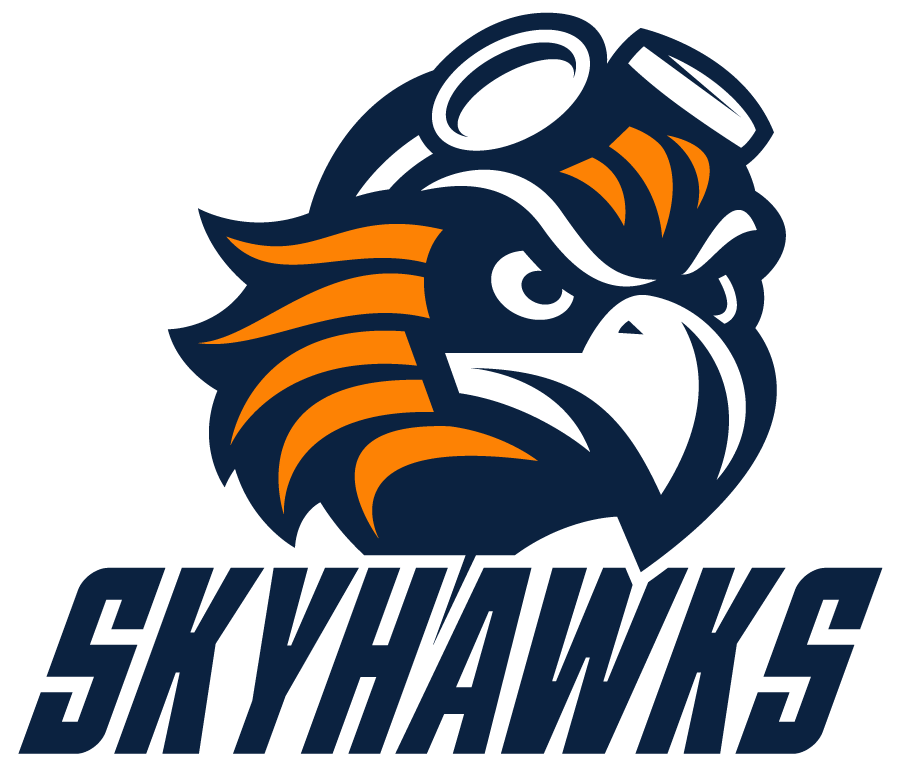 Tennessee-Martin Skyhawks 2020-Pres Alternate Logo v4 iron on transfers for clothing
